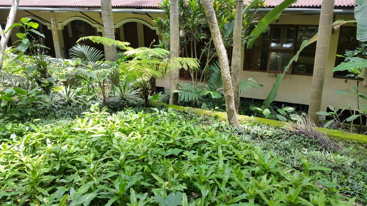 Centro Bajo Hotel & Resto Labuan Bajo Chambre photo